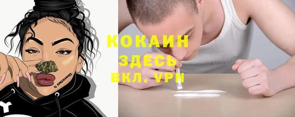 бошки Алексин