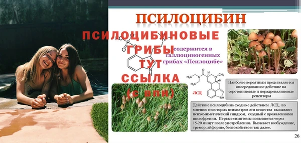 МДПВ Абинск