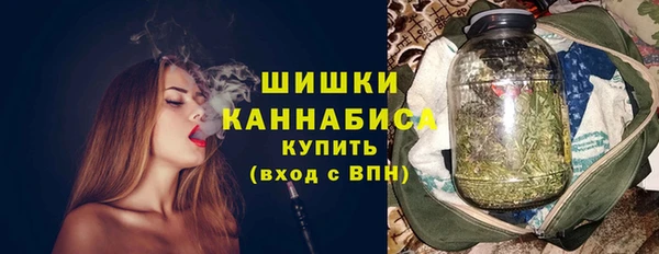 бошки Алексин